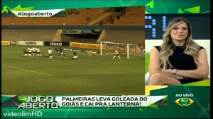 Palmeiras1-300x169 Palmeiras1