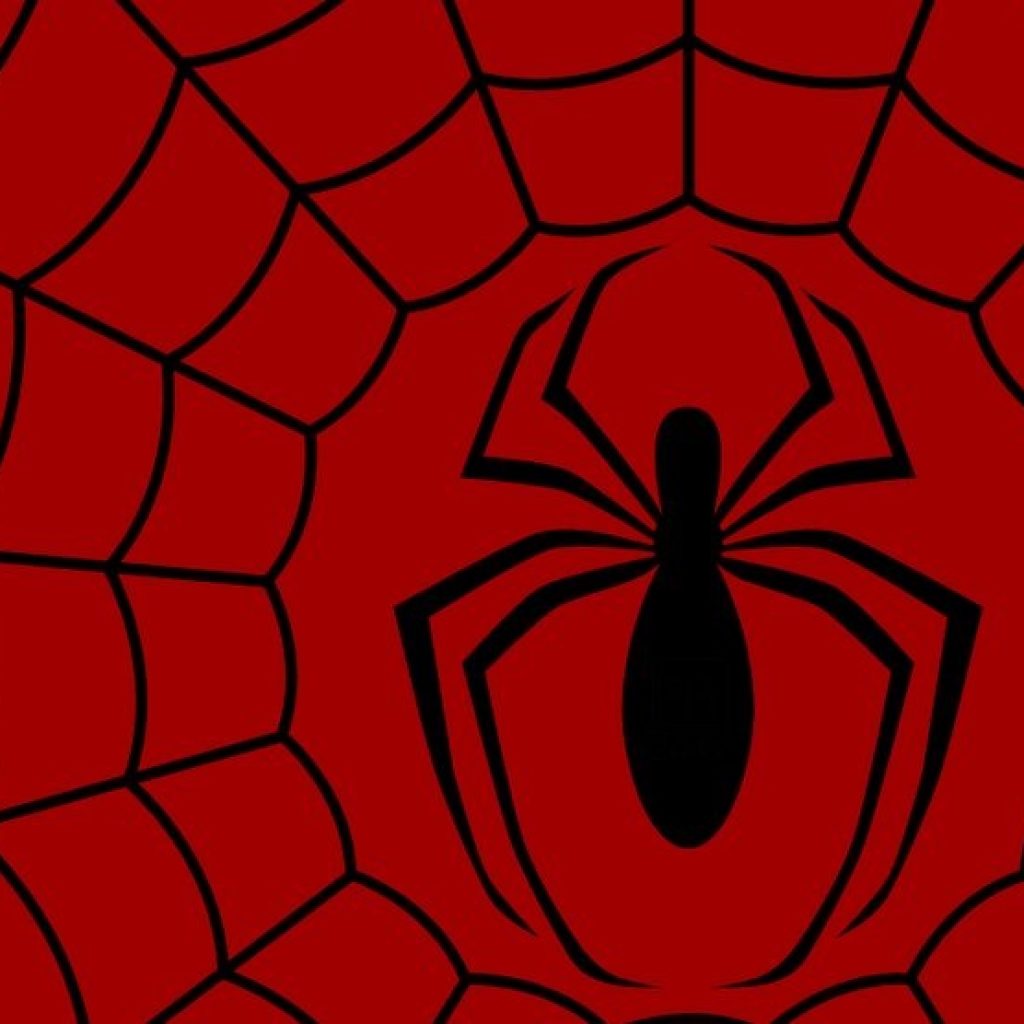 Spider-Man fã art desenho, homem-aranha, heróis, incrível Homem-Aranha png