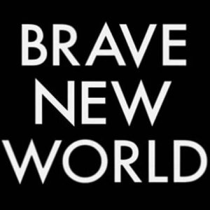 brave-logo-300x300 brave logo